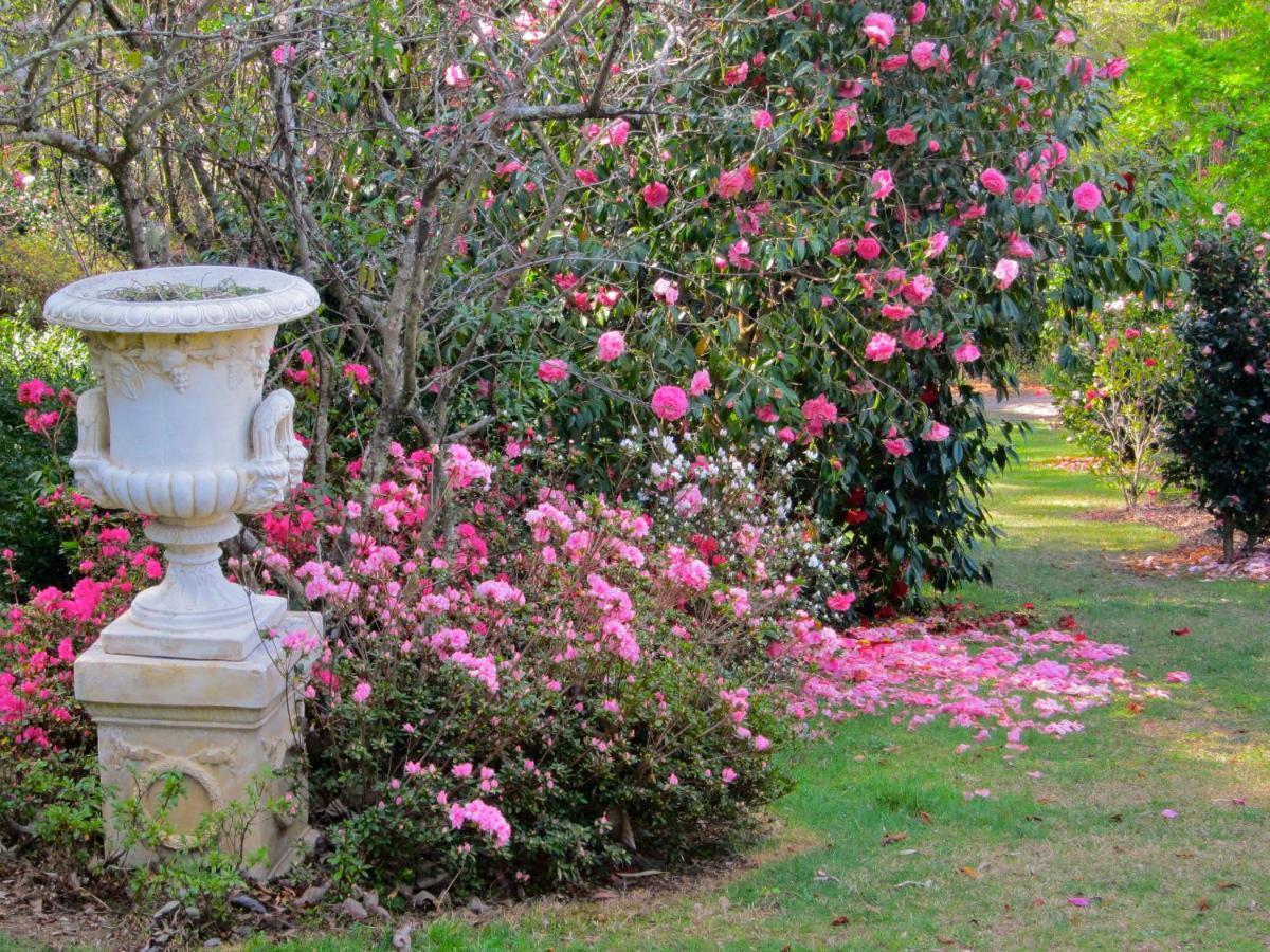 Mirradong Cottage Berambing ภายนอก รูปภาพ